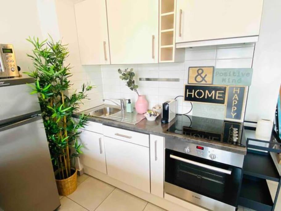 Appartement Duplex With Two Private Terraces-s6 Luxemburg